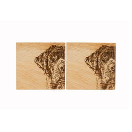The Just Slate Company Set of 2 Labrador Oak Coasters