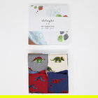 Thought Multi Extinct Bamboo Organic Cotton Blend 4 Pack Kids Socks Gift Box Size 7-9 YEARS