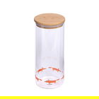 Scion Living Mr Fox 1.3L Glass Storage Jar