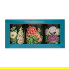 Madame Treacle Midnight Botanical Set of 3 Round Caddies