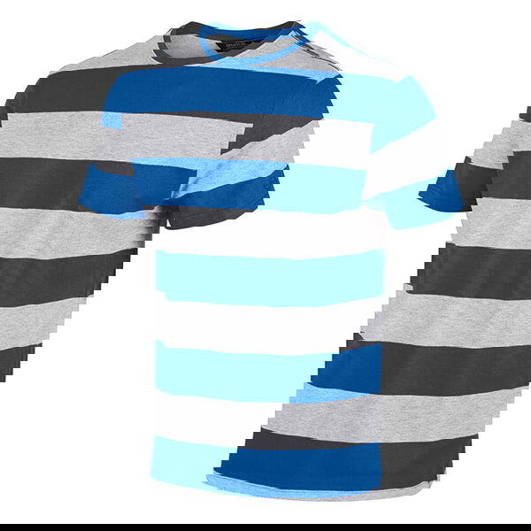 Regatta Men's Brayden Stripe T-Shirt Lapis Blue Stripe Size S