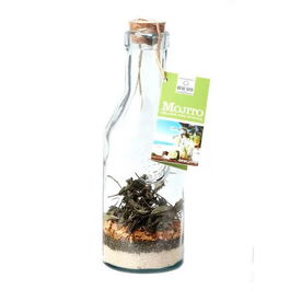 Quai Sud Mojito Carafe Cocktail Mix