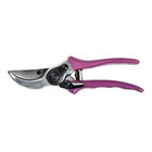 RHS Asteraceae Secateurs