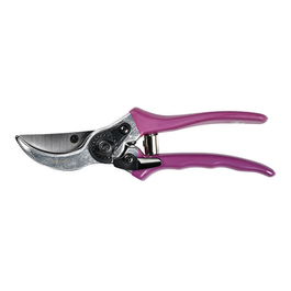 RHS Asteraceae Secateurs