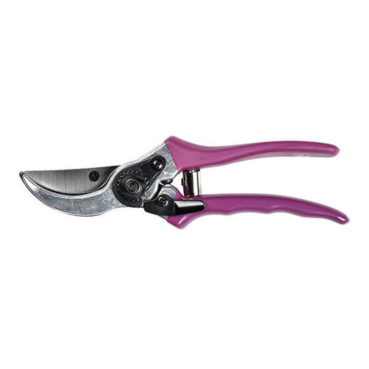 RHS Asteraceae Secateurs