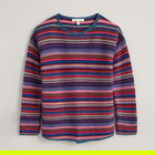 Seasalt Fruity Jumper II Ripple Marks Starling Multi Size 10