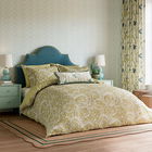 Sanderson for National Trust Tilia Lime Duvet Cover Set King Size Gold