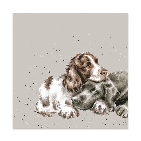 Wrendale Designs Pack Of 20 'Growing Old Together' Lunch Napkin