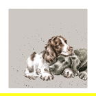Wrendale Designs Pack Of 20 `Growing Old Together` Lunch Napkin