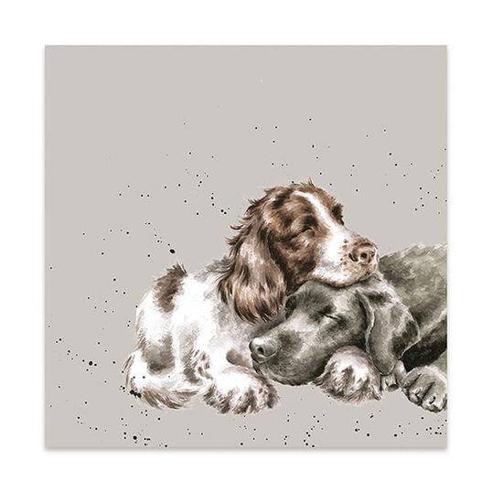 Wrendale Designs Pack Of 20 `Growing Old Together` Lunch Napkin