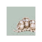 Wrendale Designs Pack Of 20 `Owl Together` Cocktail Napkin