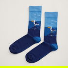 Seasalt Mens Arty Socks Seagull Rockpool Maritime