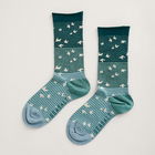 Seasalt Womens Sailor Socks Starling Scatter Succulent