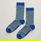 Seasalt Everyday Socks Reflect Blue Jay