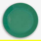 Sur La Table Colour Me Happy Green Dinner Plate