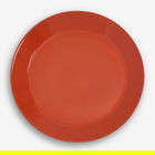 Sur La Table Colour Me Happy Orange Dinner Plate
