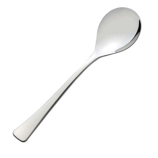Viners Darwin 18/10 Stainless Steel Serving Spoon