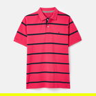 Joules Mens Pink Navy Stripe Filbert Polo Shirt