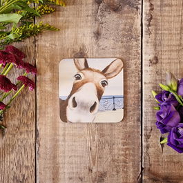 Lucy's Farm Donkey at Swanage Pier Melamine Coaster