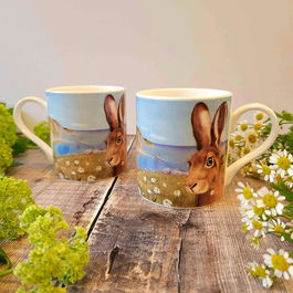 Lucy's Farm Hare Selfie at Man 'O' War Bay Regular Mug